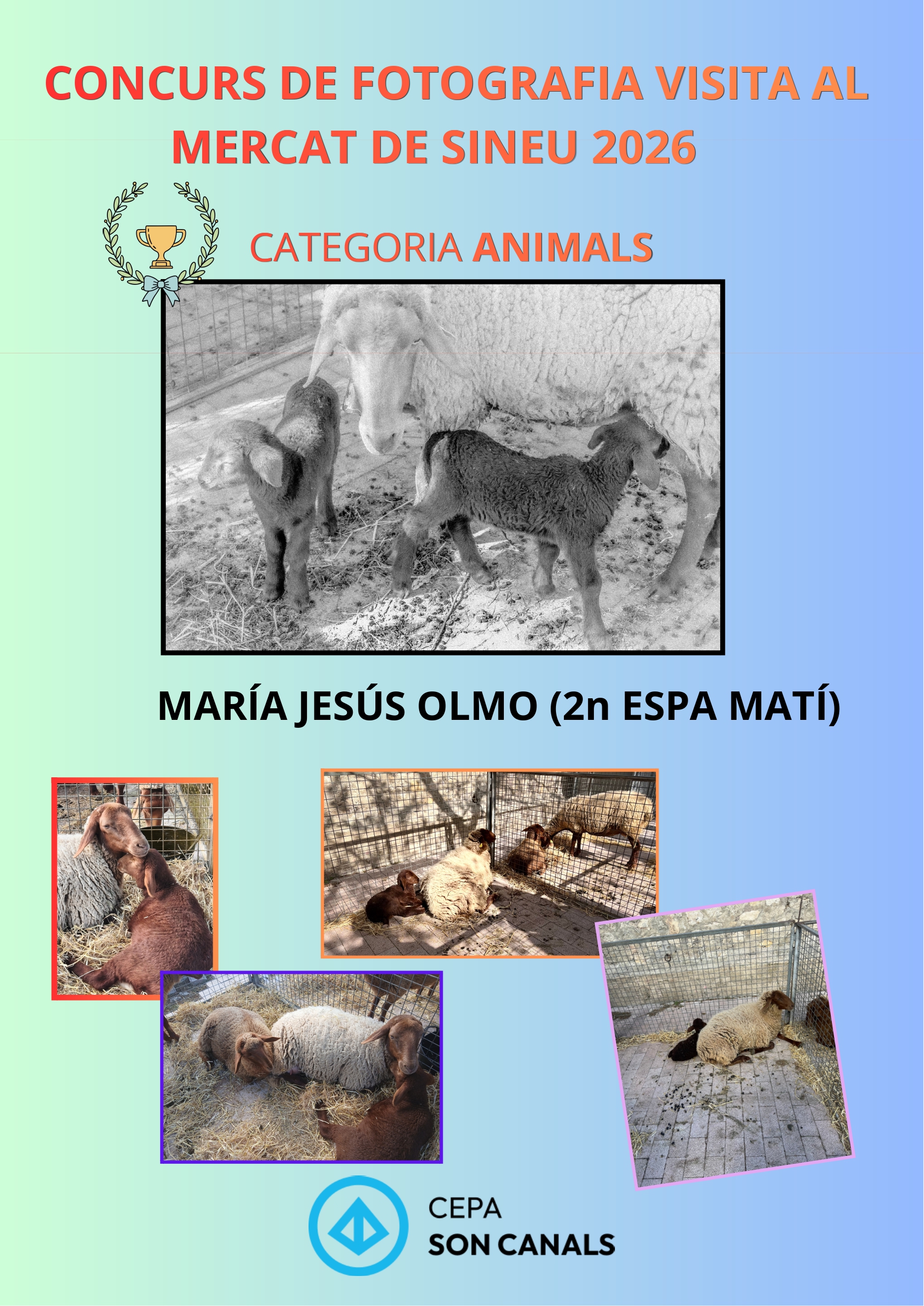 animals