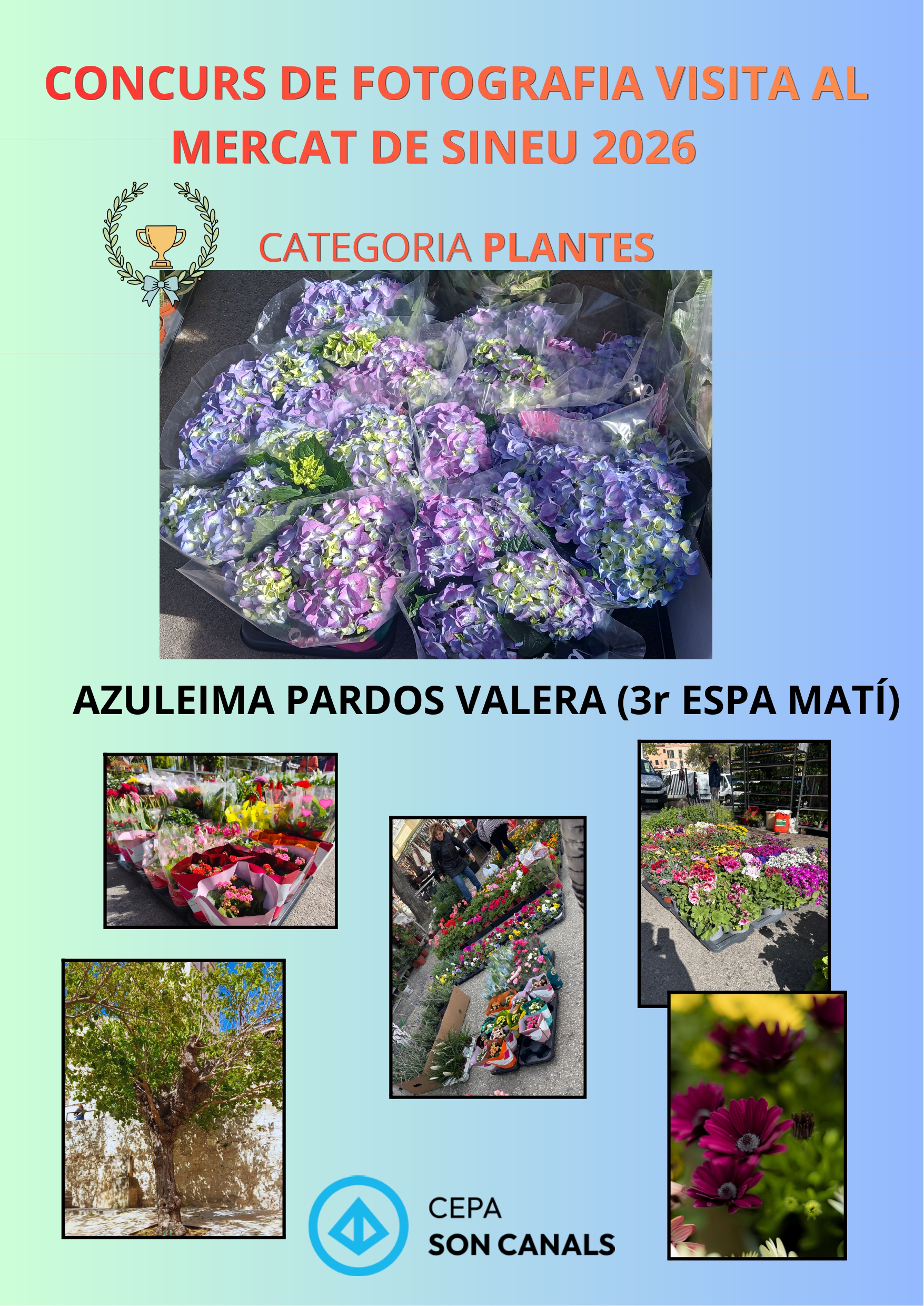 plantes